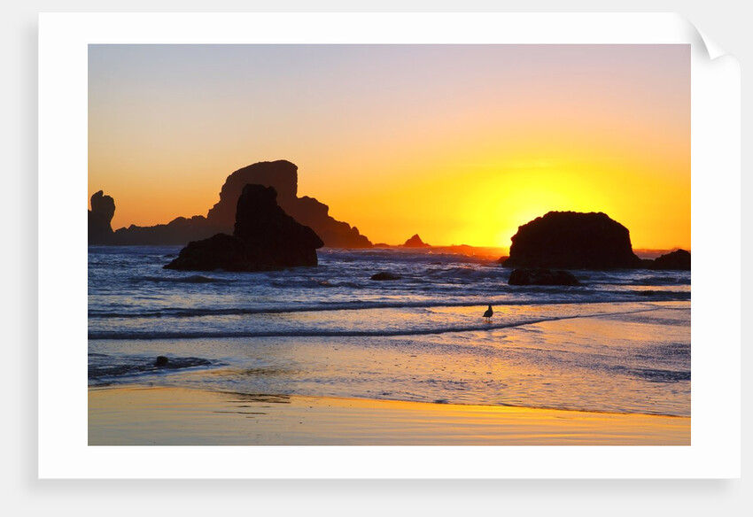 Sunset along Arch Rock, Ecola State Park, Oregon Coast, Pacific Northwest, United States by Anonymous