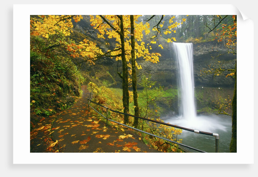 Fall colors add beauty to South South Silver Falls, Silver Falls State Park, Oregon by Anonymous