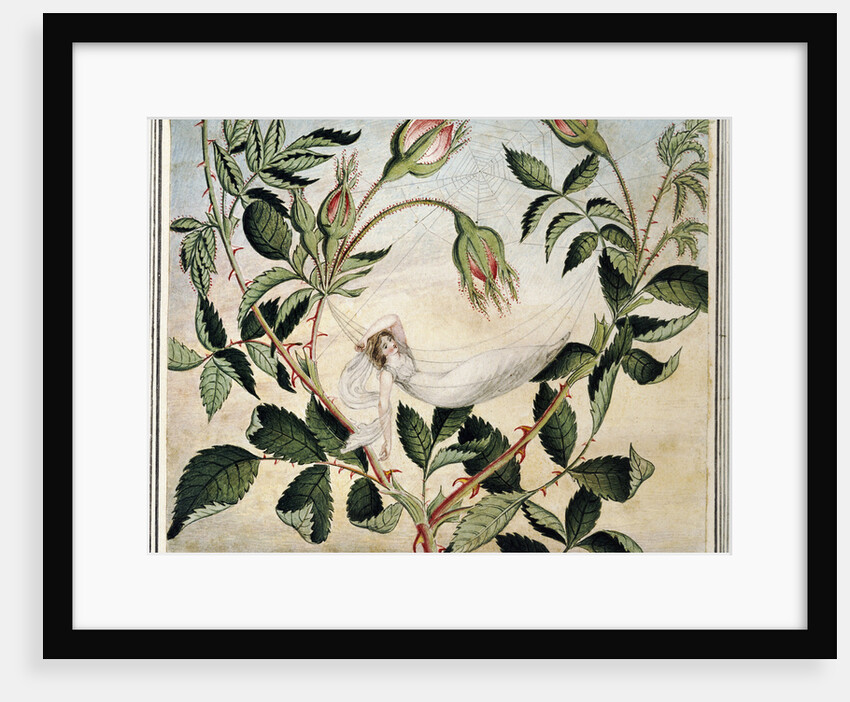 A Fairy Resting in a Hammock Spun from a Cobweb by Amelia Jane Murray