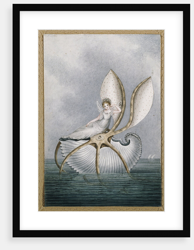 A Fairy Resting on a Shell by Amelia Jane Murray