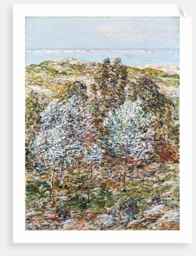 Springtime Vision by Frederick Childe Hassam