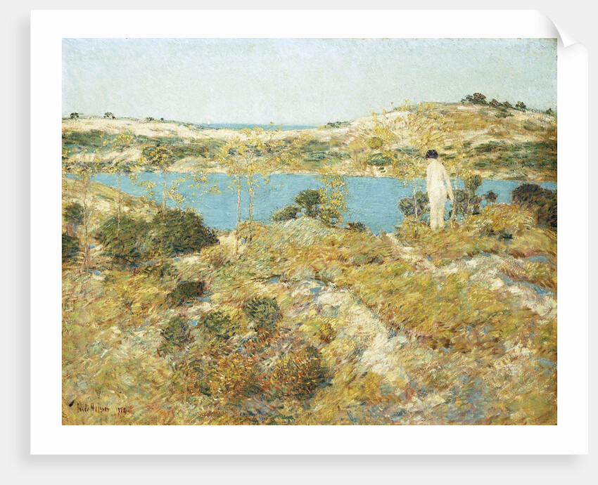 Dune Pool by Frederick Childe Hassam