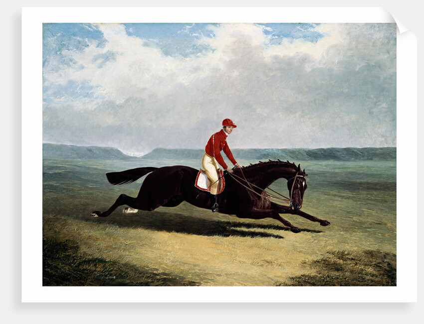 The Baron with Bumpy Up, at Newmarket by John Frederick Herring Sr.