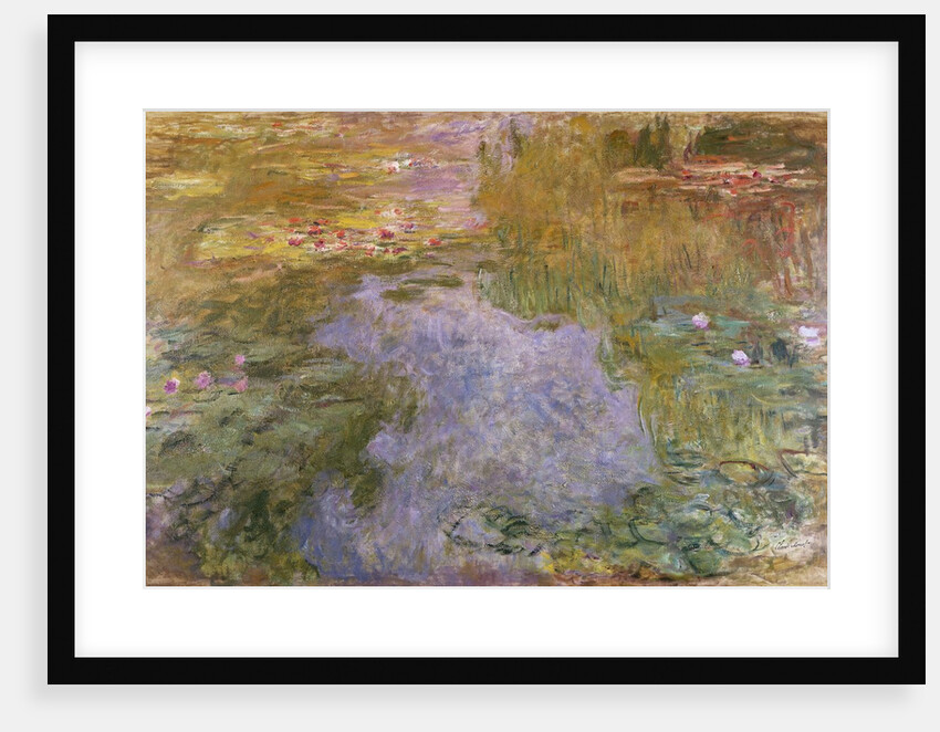 Waterlilies by Claude Monet
