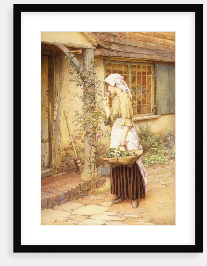 The Sweetest Rose by Charles Edward Wilson