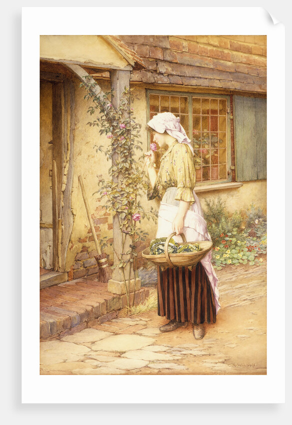 The Sweetest Rose by Charles Edward Wilson