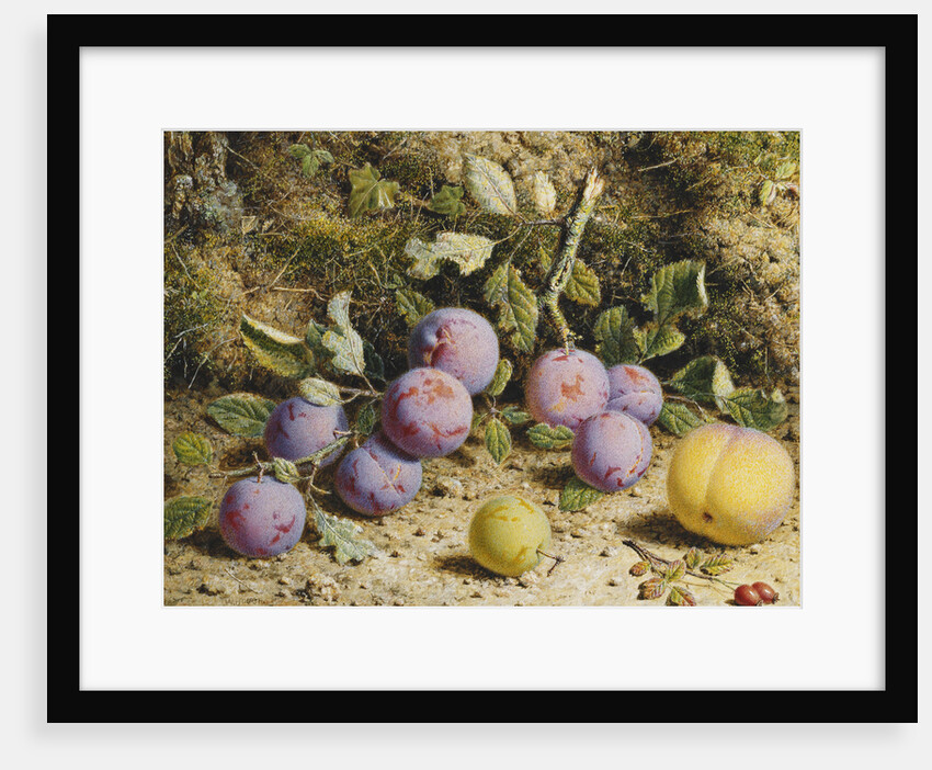 Still Life with Plums, a Peach and Rosehips by William Hough