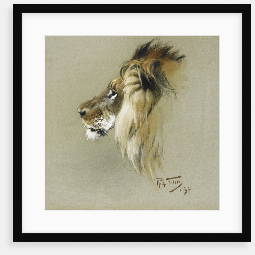 A Lion's Head by Richard Friese