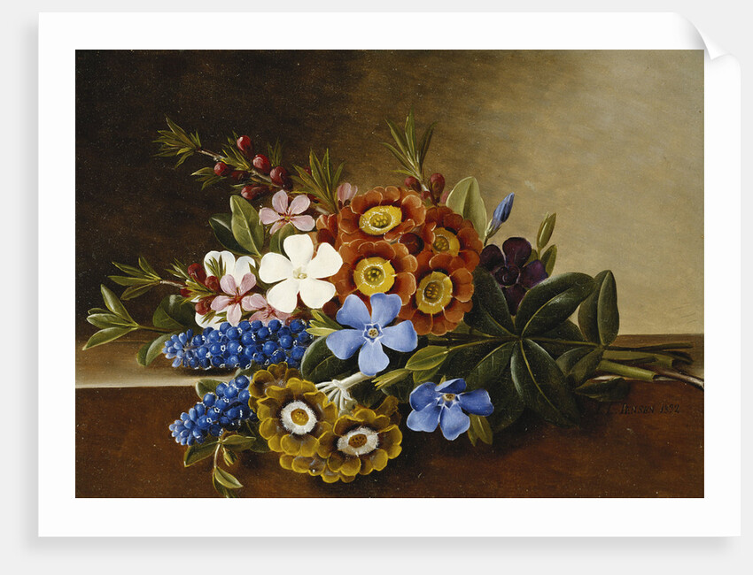 Periwinkle, Auricula and Grape Hyacinths on a Marble Ledge by Johan Laurentz Jensen