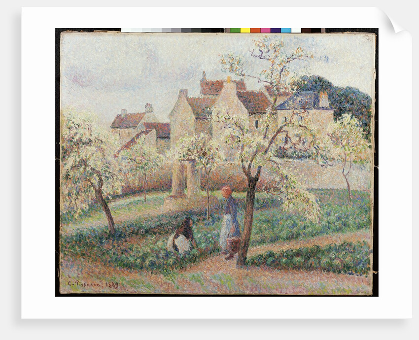 Plum Trees in Blossom by Camillle Pissarro