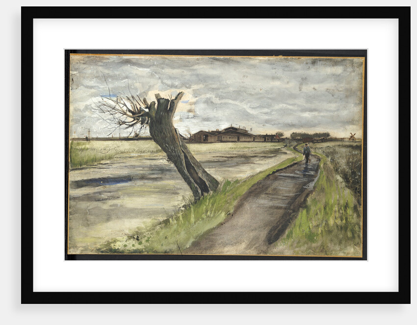 Pollard Willow by Vincent Van Gogh