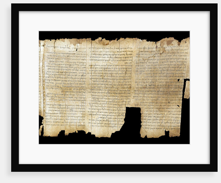 The Temple Scroll, from the Dead Sea Scrolls by Anonymous