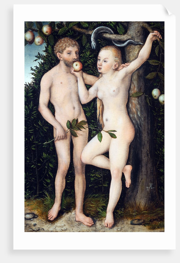 Adam and Eve by Lucas Cranach the Elder