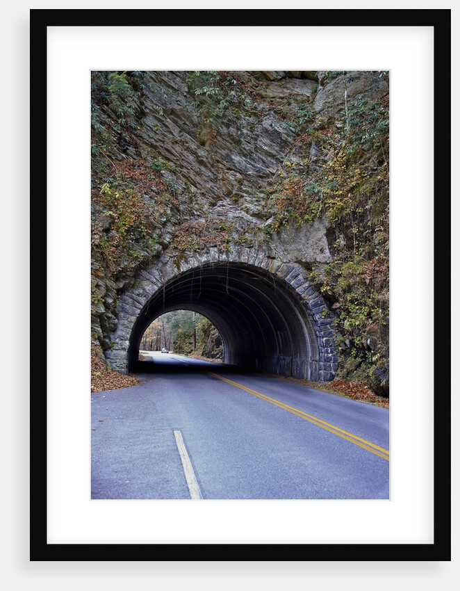 Blue Ridge Mountains, Great Smoky Mountains National Park, USA by Anonymous