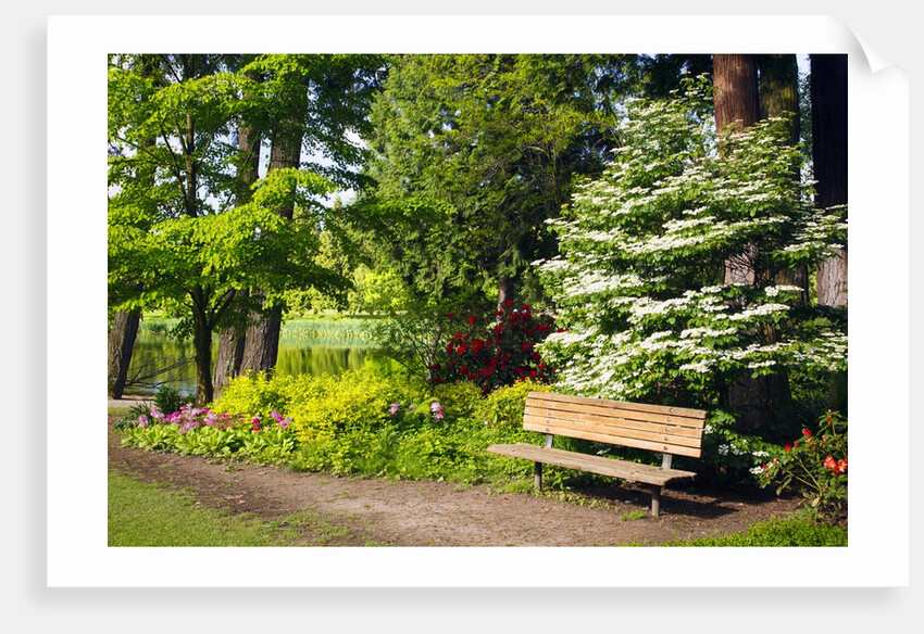 Spring in Crystal Springs Rhododendron Garden, Portland, Oregon, USA by Anonymous