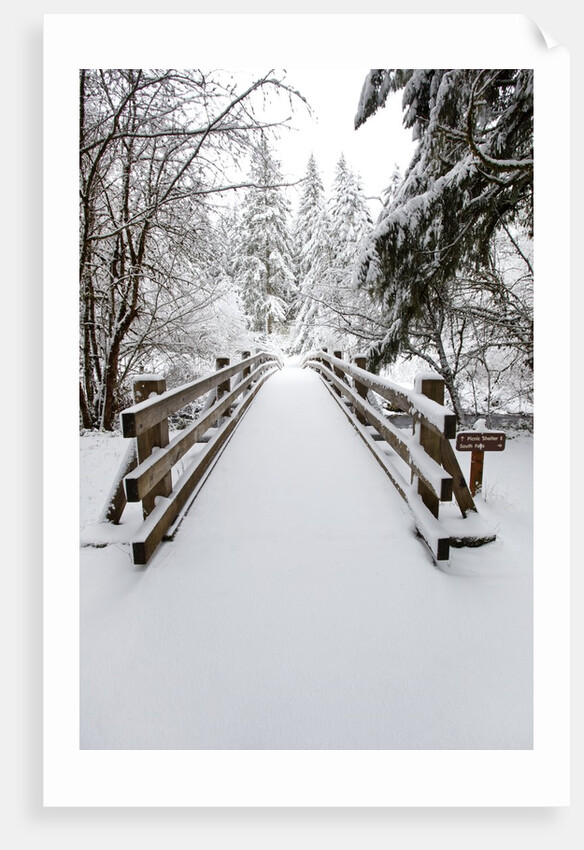 Footbridge covered in snow, Silver Falls State Park, Oregon, USA by Anonymous