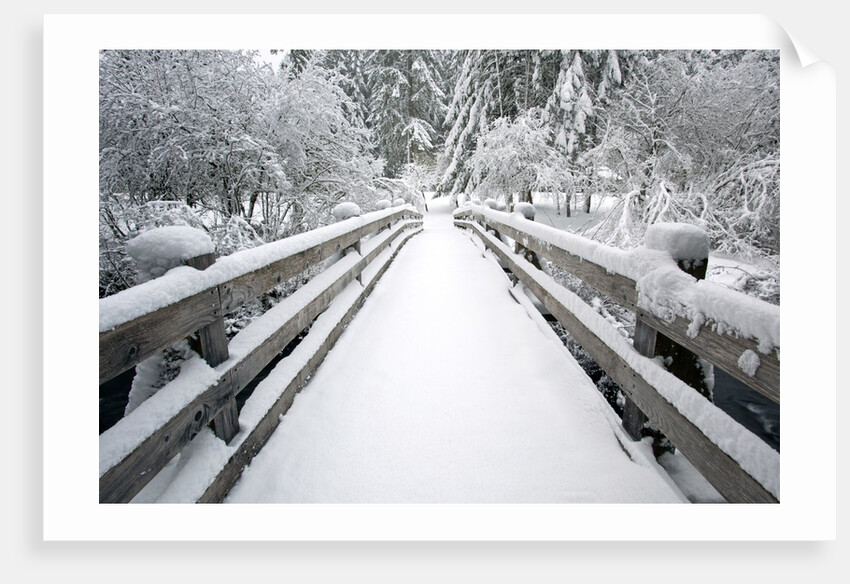 Footbridge covered in snow, Silver Falls State Park, Oregon, USA by Anonymous