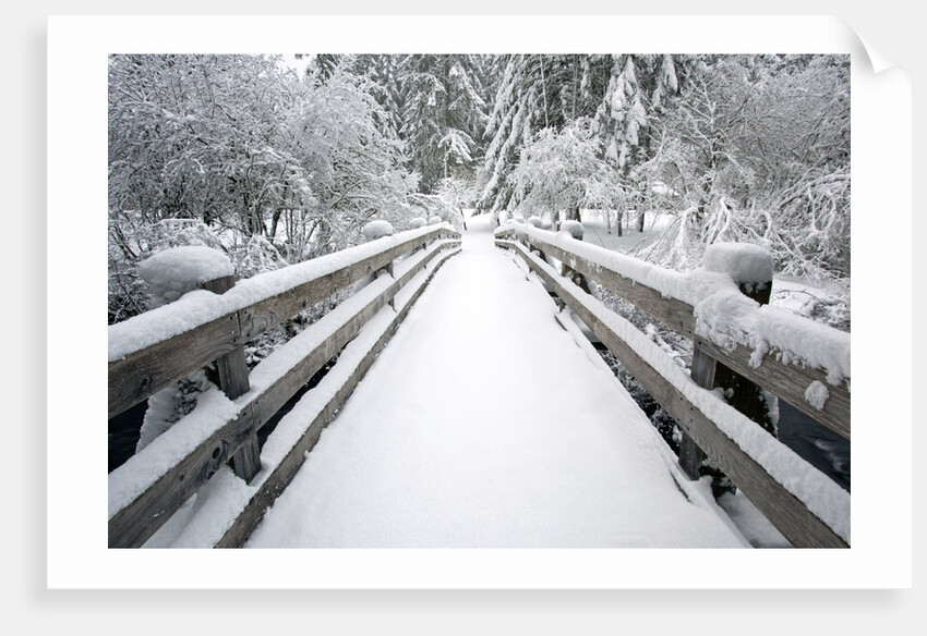 Footbridge covered in snow, Silver Falls State Park, Oregon, USA by Corbis