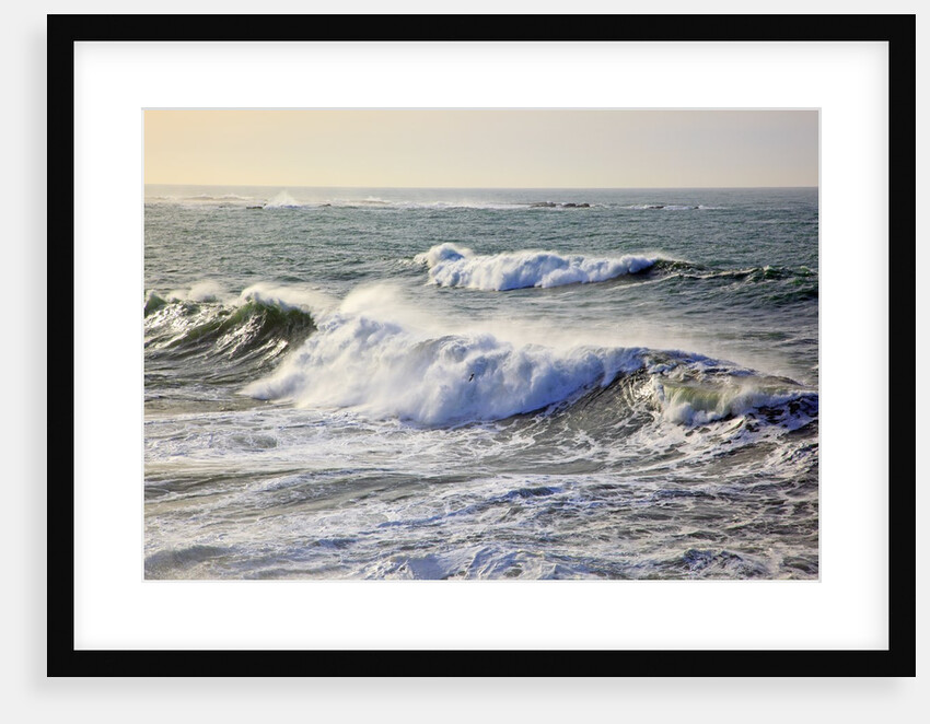 Winter storm waves crash on headline at Shore Aceres State Park, Oregon, USA by Anonymous