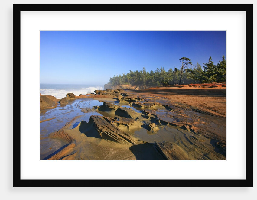 Coastline at Shore Aceres State Park, Oregon, USA by Anonymous