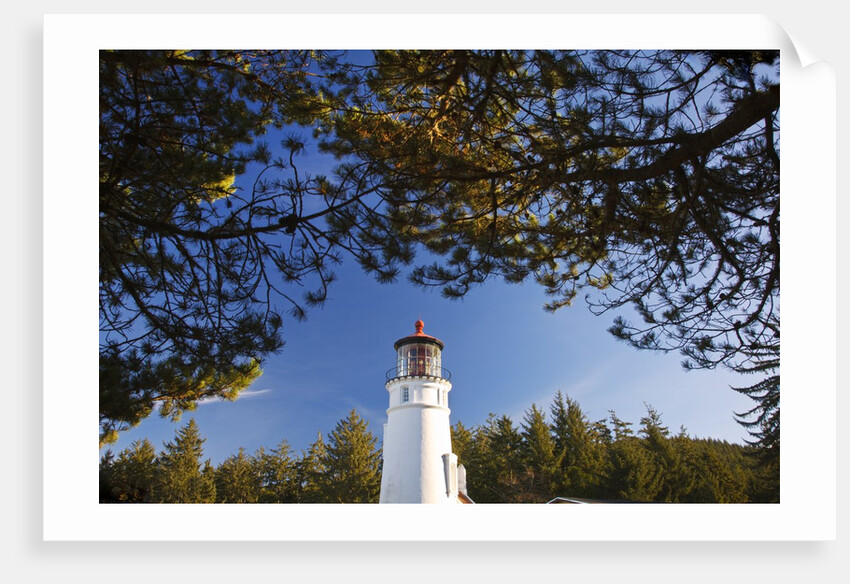 Ampqua Lighthouse, Oregon, USA by Anonymous