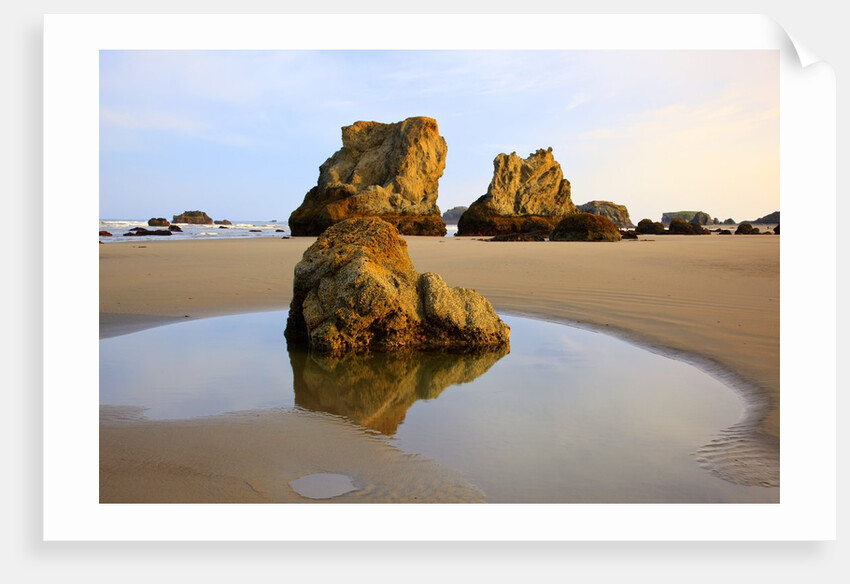 Sunrise tide pools at low tide, Bandon Beach, Oregon, USA by Anonymous