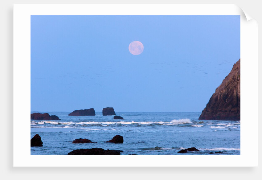 Moon set over rock formations at low tide, Bandon Beach, Oregon, USA by Anonymous