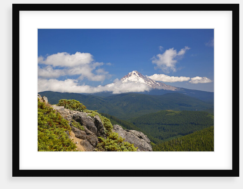 Mt. Hood, Mt. Hood National Forest, Oregon, USA by Anonymous