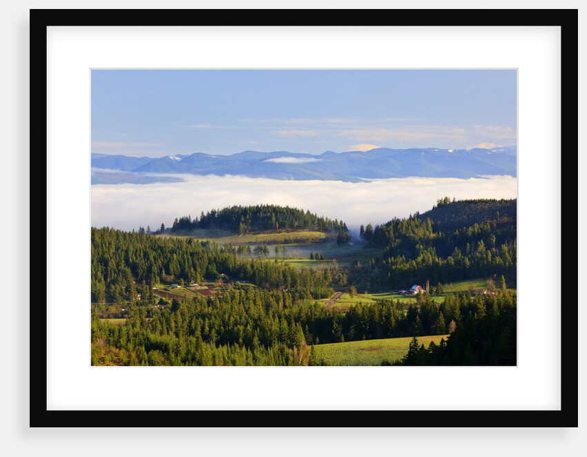 Morning fog covers Hood River Valley, Oregon, USA by Anonymous