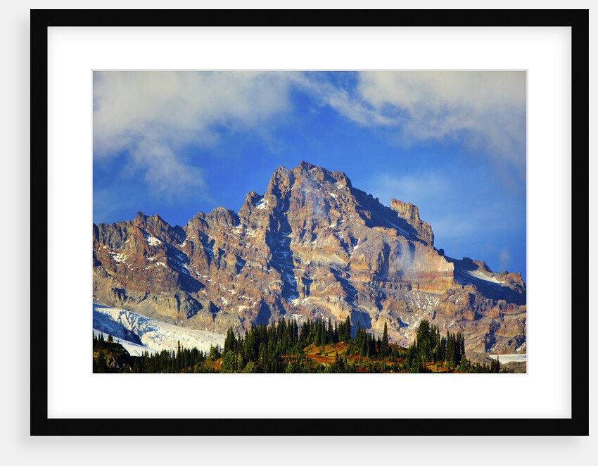 Mt. Rainier and fall colors, Mt.Rainier National Park, Washington State, USA by Anonymous