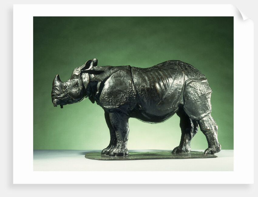 3 Year Old Rhinoceros by Rembrandt Bugatti