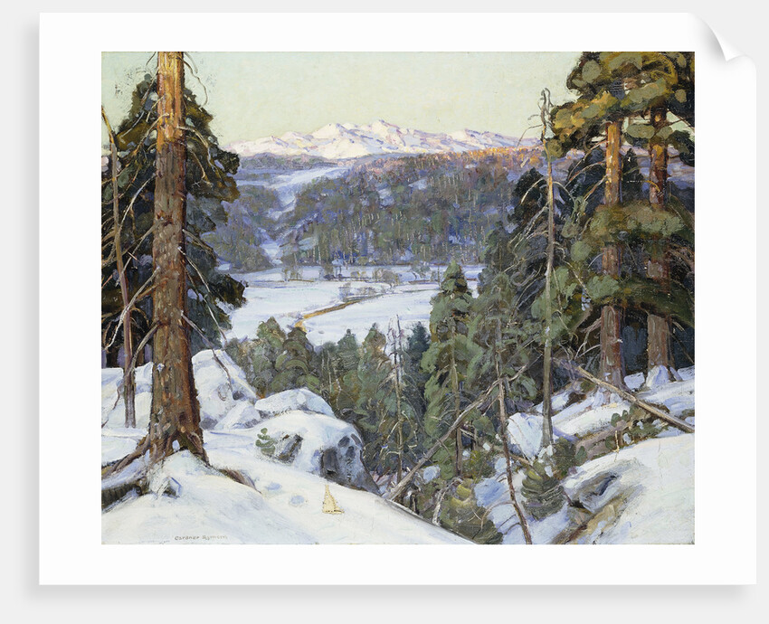 Pines in Winter by George Gardner Symons