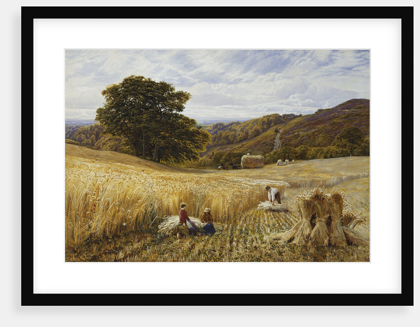 Harvest Time Near Holmbury Hill, Surrey by George Vicat Cole