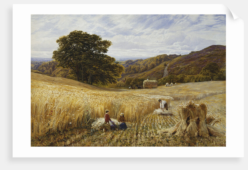 Harvest Time Near Holmbury Hill, Surrey by George Vicat Cole