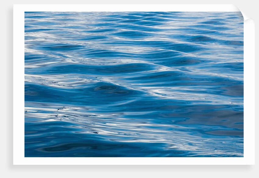 Water reflection by Anonymous