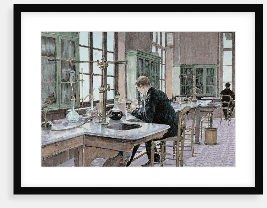 Pasteur, Louis (1822-1895) by Anonymous