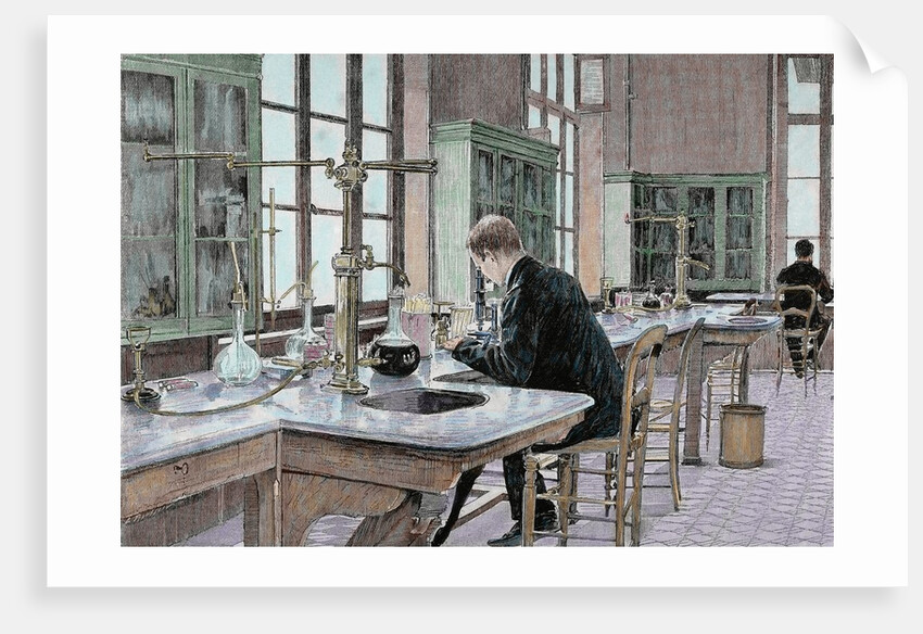 Pasteur, Louis (1822-1895) by Anonymous