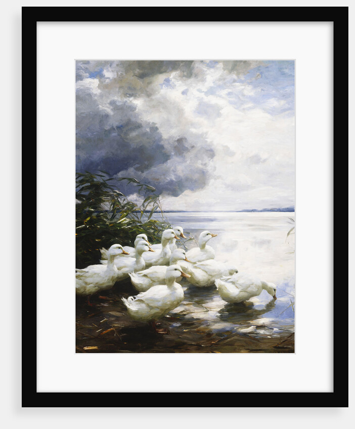 Ducks at the Lake's Edge by Alexander Koester