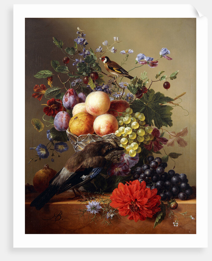 Peaches, Grapes, Plums and Flowers in a Glass vase with a Jay on a Ledge by Arnoldus Bloemers