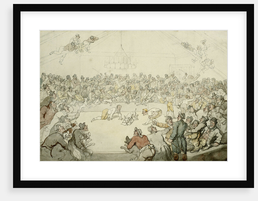 The Westminster Pitt by Thomas Rowlandson