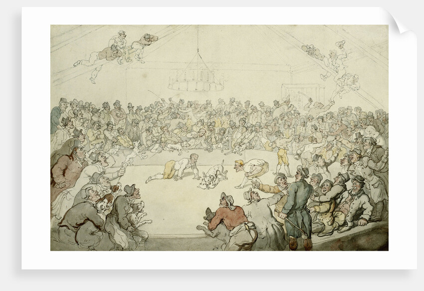 The Westminster Pitt by Thomas Rowlandson