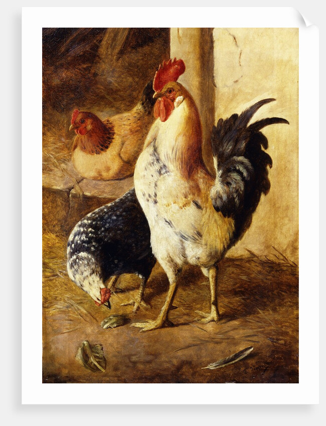 A Cockerel and Chickens in a Farmyard by Federico Jimenez Fernandez
