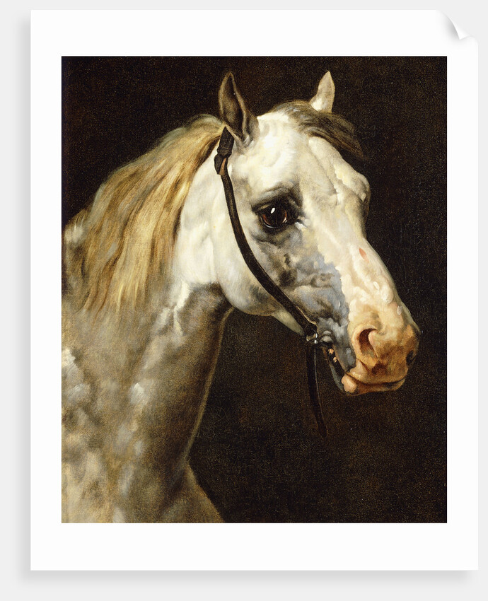 Head of a Piebald Horse attributed to Theodore Jean Louis Gericault by Anonymous