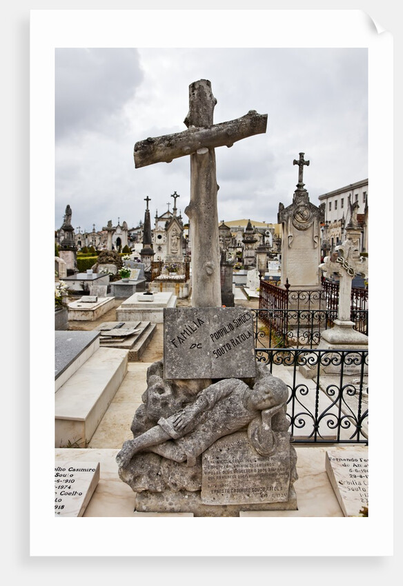Lapa cemetery in Aveiro by Anonymous