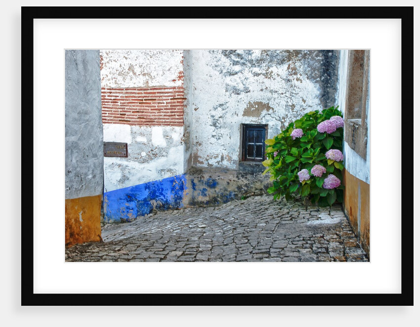 Street along Obidos, one of the most picturesque medieval villages in Portugal by Anonymous