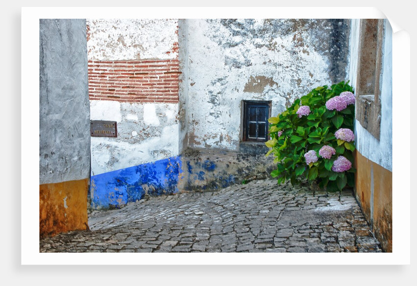 Street along Obidos, one of the most picturesque medieval villages in Portugal by Anonymous