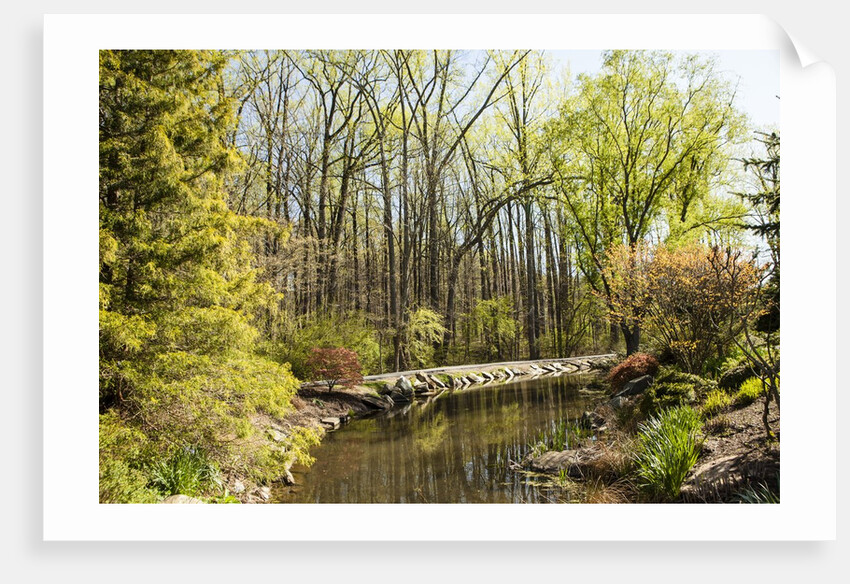 Shades of green mark Spring by Anonymous