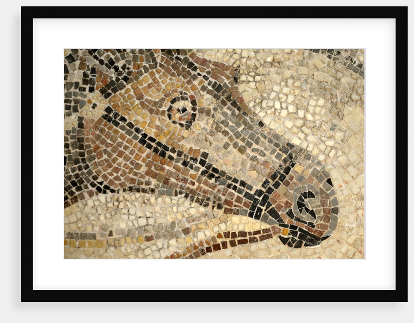 Horse Roman Floor Mosaic by Anonymous