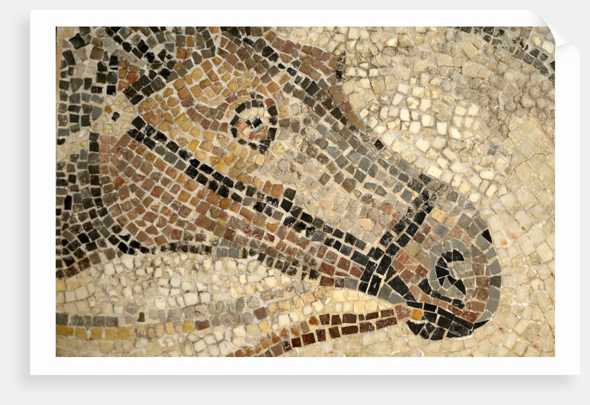 Horse Roman Floor Mosaic by Anonymous