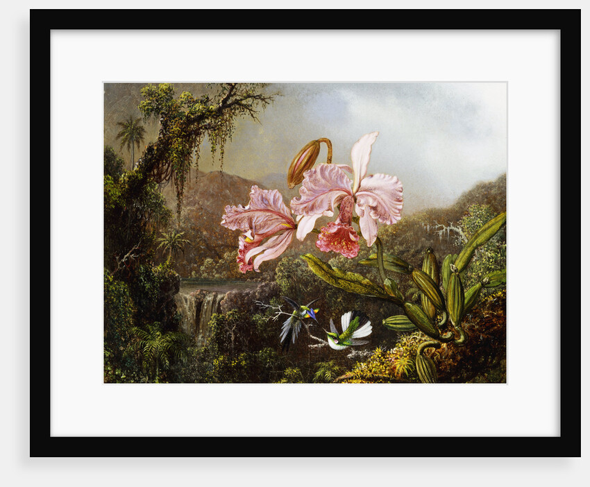 Orchids and Hummingbirds in a Brazilian Jungle by Martin Johnson Heade